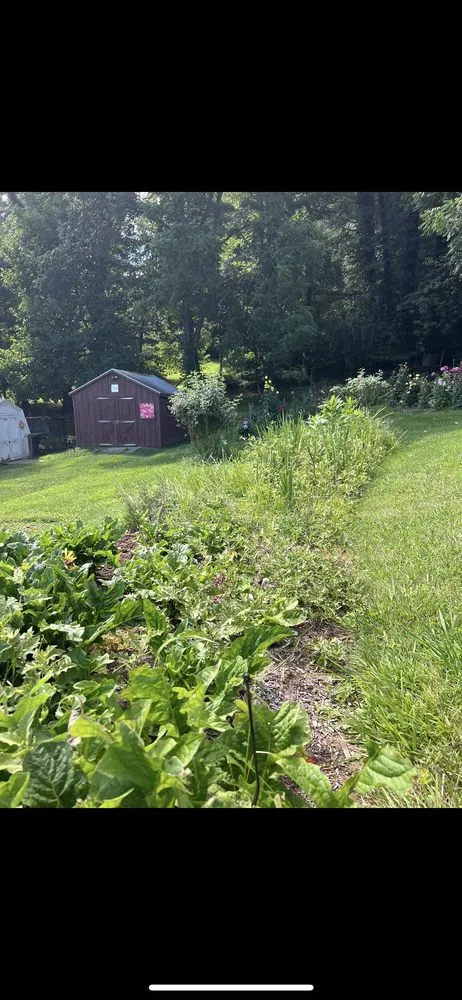 Affordable lawn mowing service in Etowah, NC by Mountain View Lawn and Garden