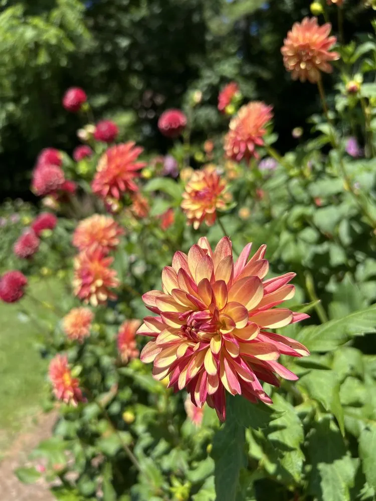 Custom garden landscaping in Etowah, NC by Mountain View Lawn and Garden