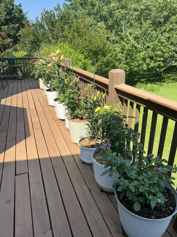 Professional garden landscaping in Etowah, NC - Mountain View Lawn and Garden