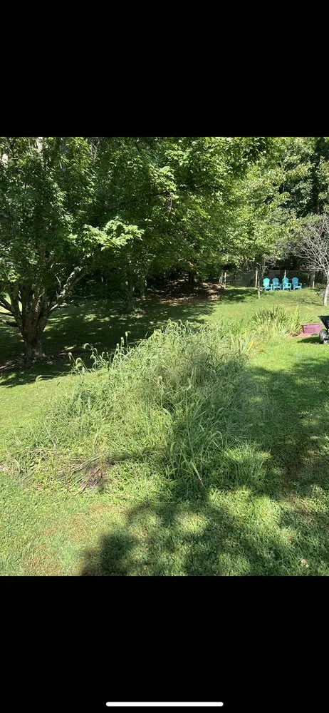 Affordable yard maintenance for outdoor upgrades in Etowah, NC by Mountain View Lawn and Garden