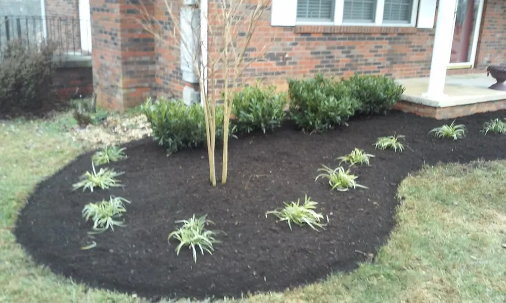 Local yard maintenance experts serving Knoxville, TN - Mountain View Lawnscapes
