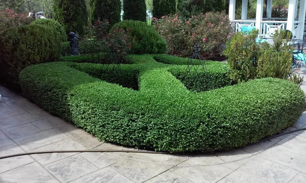 Professional landscape installation in Knoxville, TN - Mountain View Lawnscapes