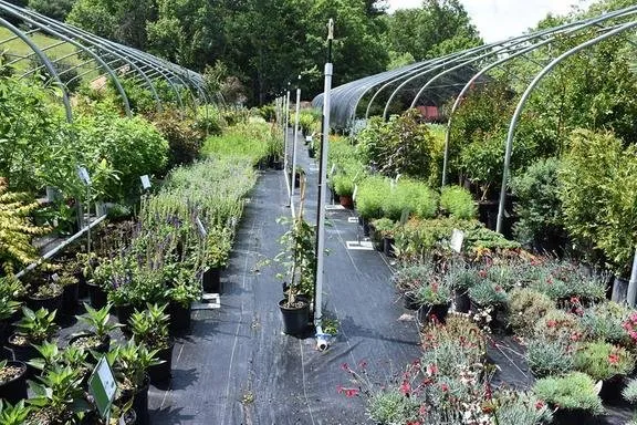 Affordable landscape design near you in Butler, TN by Mountain View Nursery & Landscaping