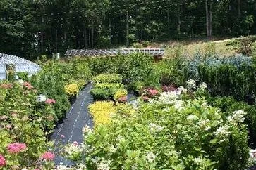 Top-rated landscape design with custom design across Butler, TN - Mountain View Nursery & Landscaping
