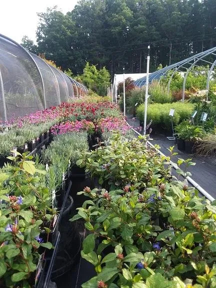 Local landscaping services with custom design in Butler, TN by Mountain View Nursery & Landscaping