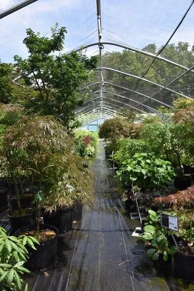 Custom yard cleanup service in Butler, TN - Mountain View Nursery & Landscaping