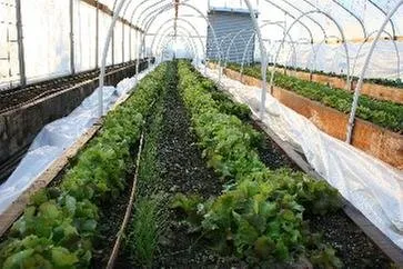 Top-rated landscaping services in Butler, TN - Mountain View Nursery & Landscaping
