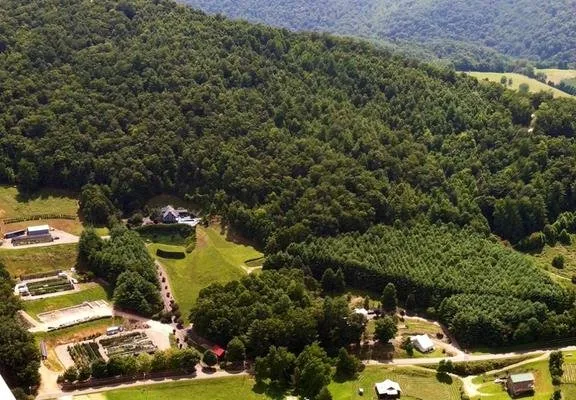Reliable garden landscaping experts serving Butler, TN - Mountain View Nursery & Landscaping