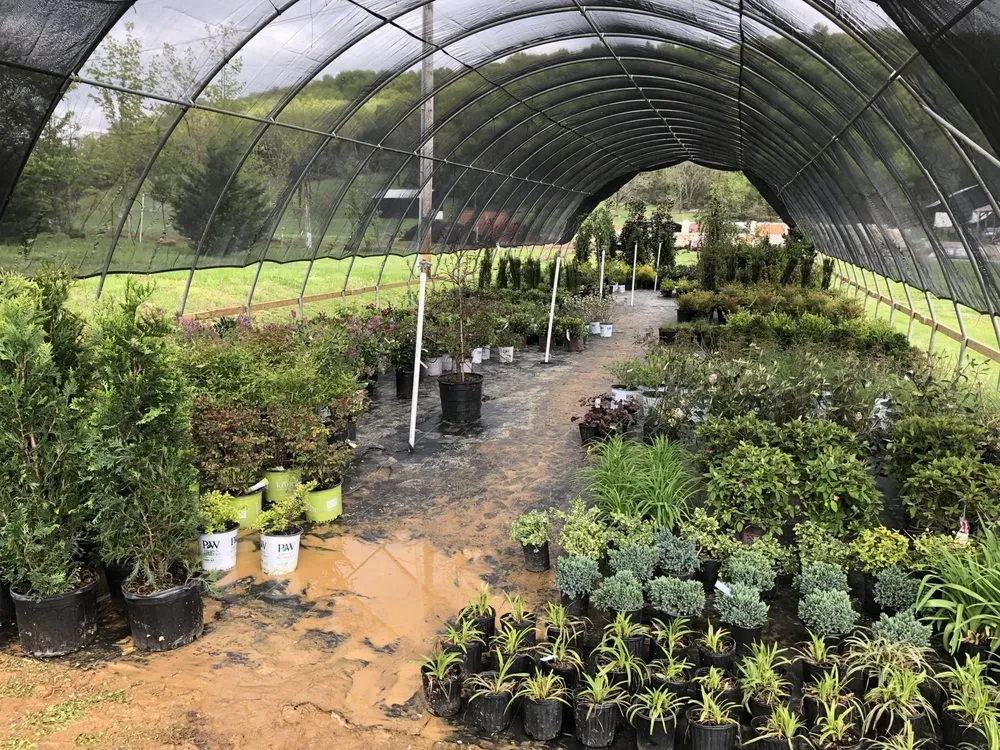 Local landscaping services in Albany, KY by Mountain View Nursery