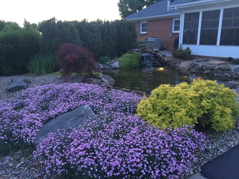 Professional lawn mowing service in Albany, KY - Mountain View Nursery