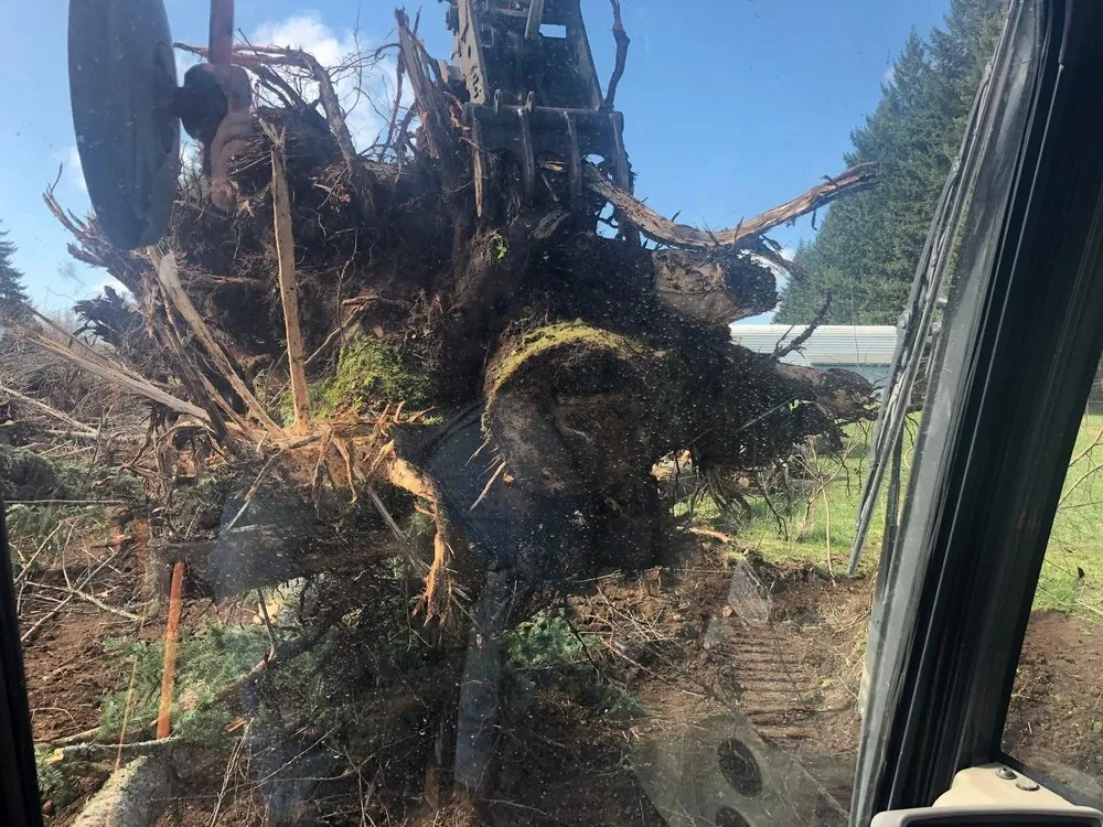 Expert yard maintenance for homes in Estacada, OR by Mountain View Services