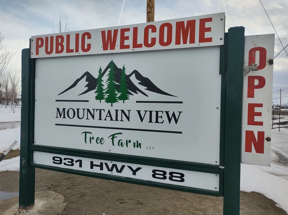 Local landscape design in Gardnerville, NV - Mountain View Tree Farm