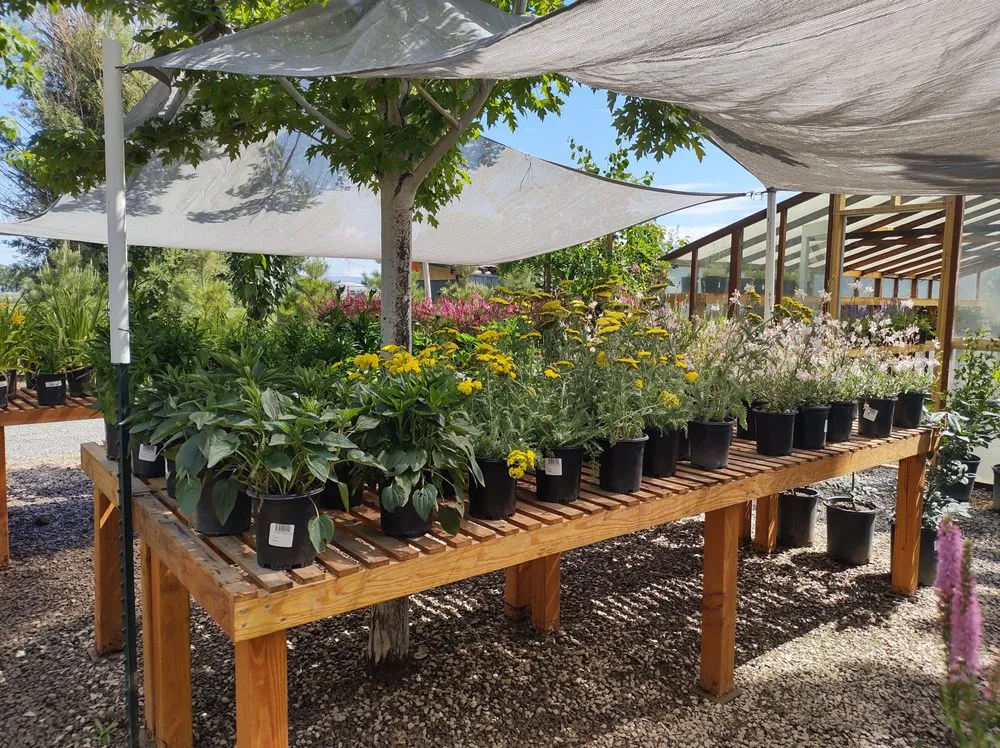 Professional landscaping services for outdoor upgrades across Gardnerville, NV - Mountain View Tree Farm