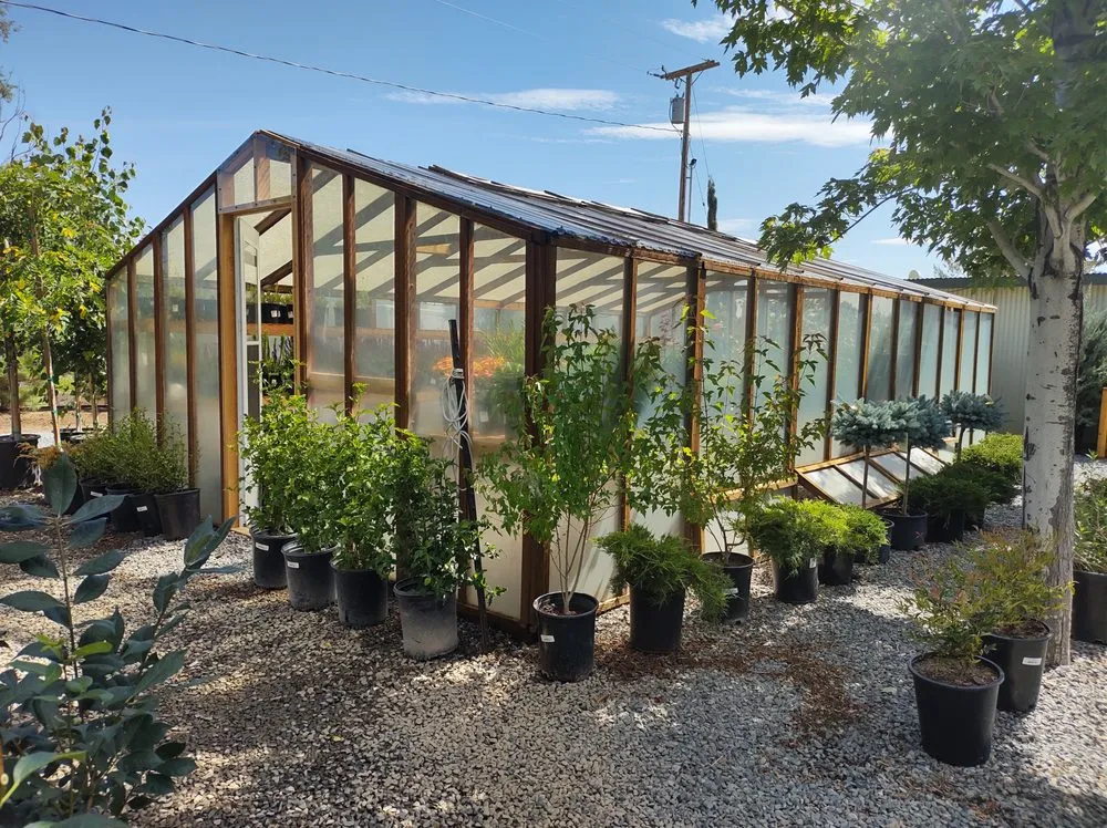 Reliable yard cleanup service experts serving Gardnerville, NV - Mountain View Tree Farm