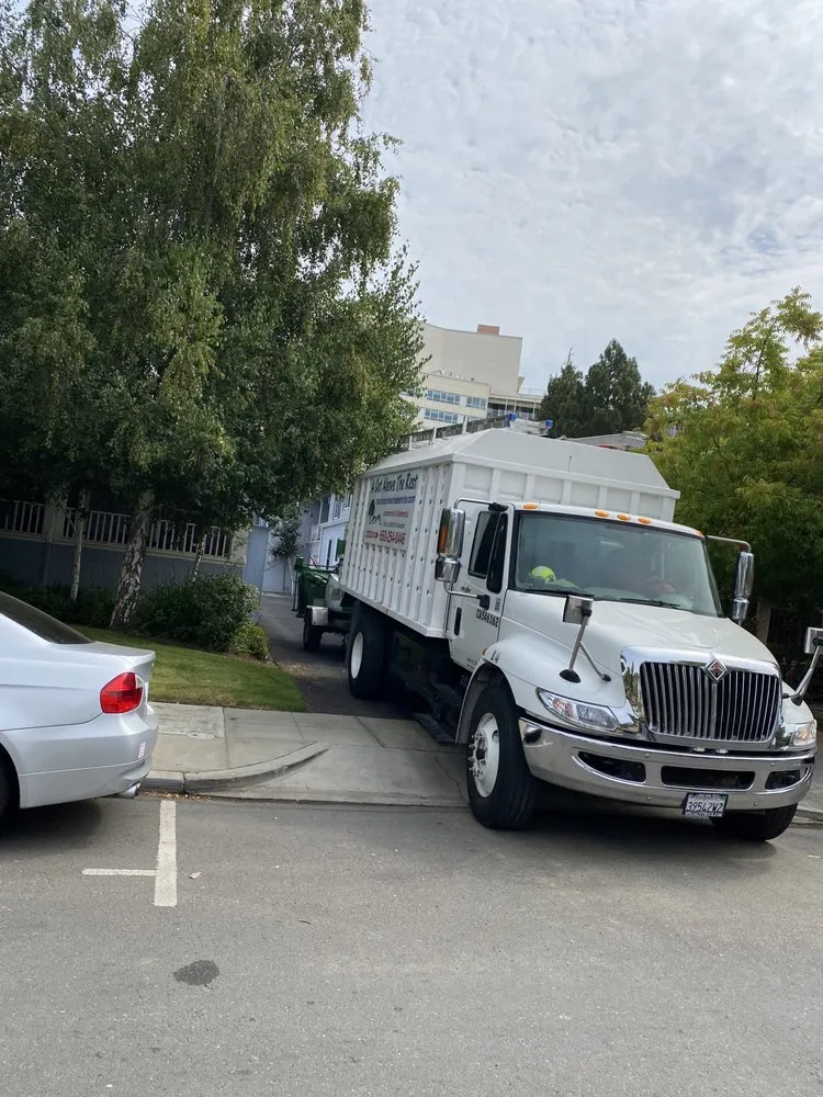Affordable outdoor landscaping for outdoor upgrades across Sunnyvale, CA - Mountain View Tree Service