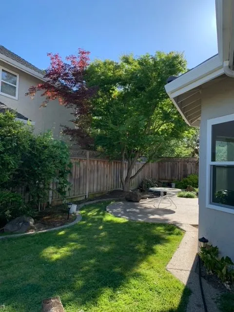 Top-rated lawn care service in Sunnyvale, CA - Mountain View Tree Service