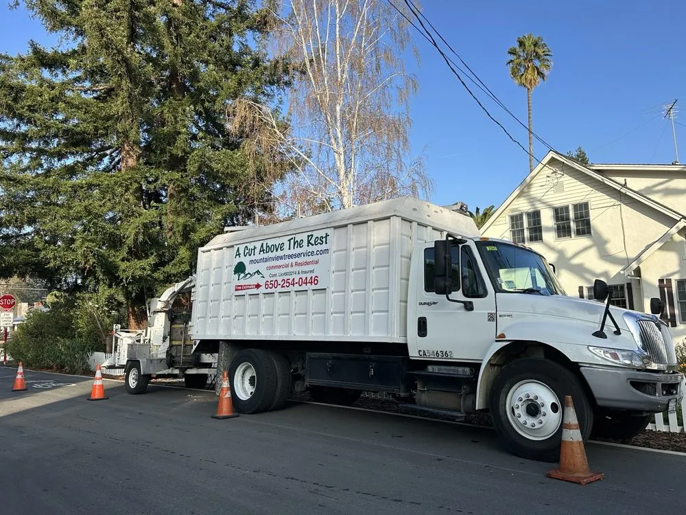 Trusted landscaping services for residential properties across Sunnyvale, CA - Mountain View Tree Service