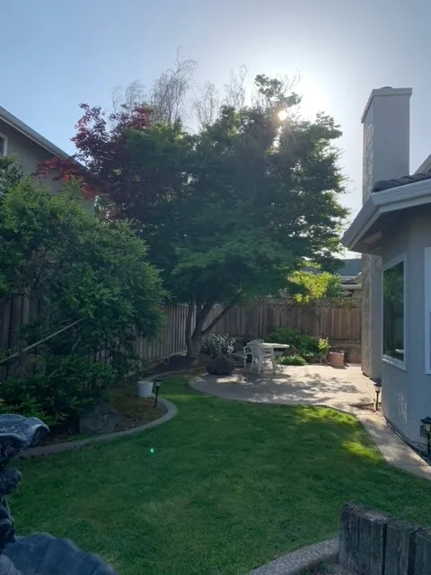 Trusted garden landscaping in Sunnyvale, CA - Mountain View Tree Service