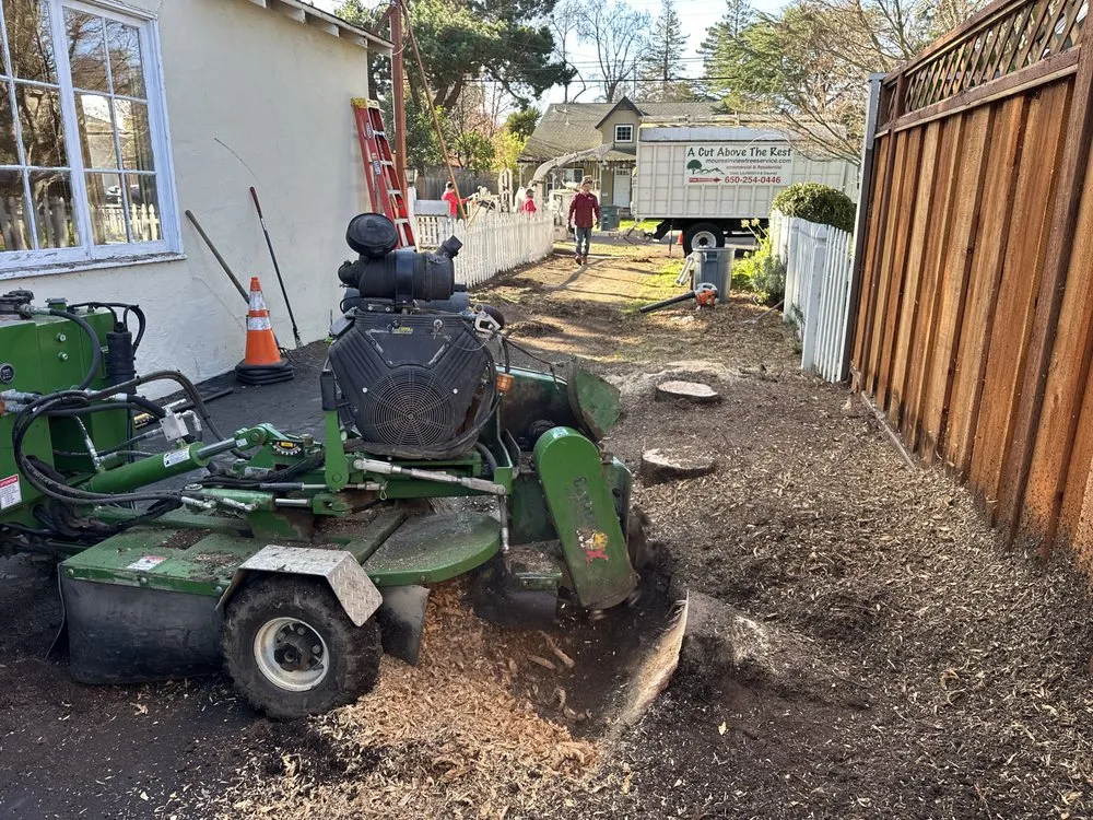 Affordable residential landscaping experts serving Sunnyvale, CA - Mountain View Tree Service