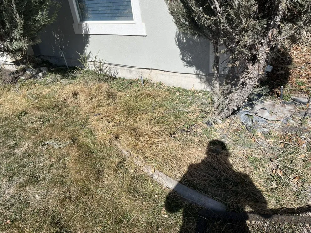 Local lawn care service for beautiful yards across Riverton, UT - Mountain View Yard Care