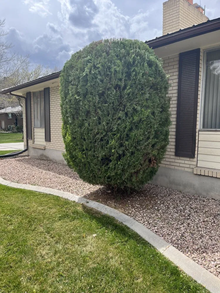 Affordable outdoor landscaping for homes in Riverton, UT by Mountain View Yard Care