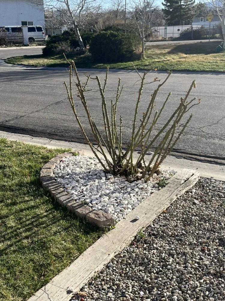 Trusted lawn mowing service experts serving Riverton, UT - Mountain View Yard Care