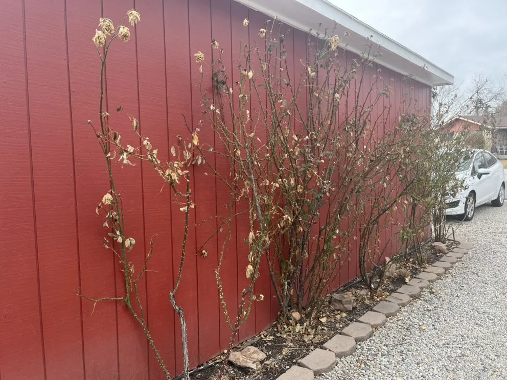 Affordable outdoor landscaping for homes in Riverton, UT by Mountain View Yard Care