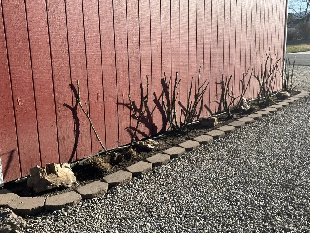 Expert lawn care service in Riverton, UT by Mountain View Yard Care