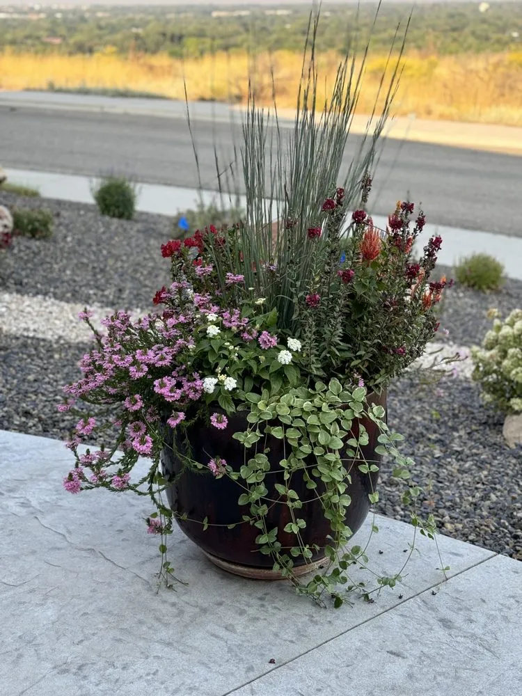 Reliable landscape design experts serving Boise, ID - Mountain West Landscapes