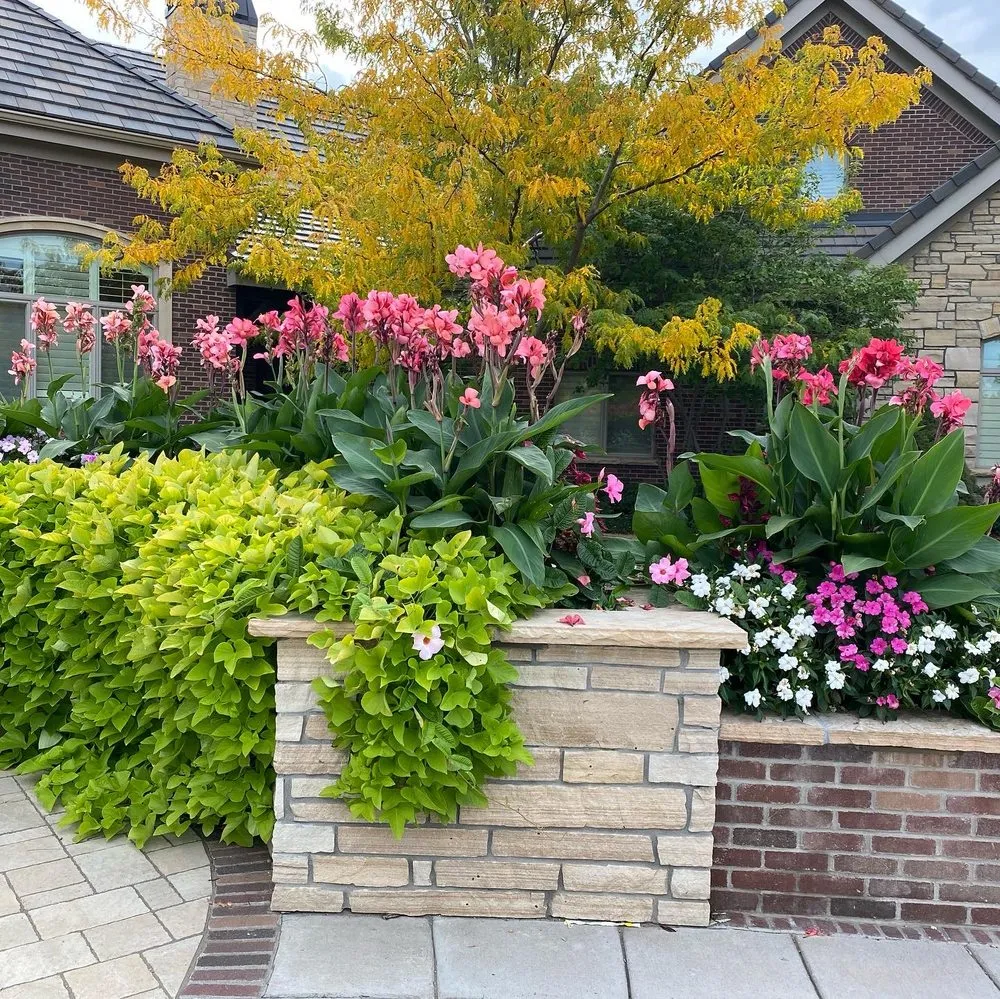 Reliable landscape design for outdoor upgrades in FORT COLLINS, CO by Mountain West Vegetation Management