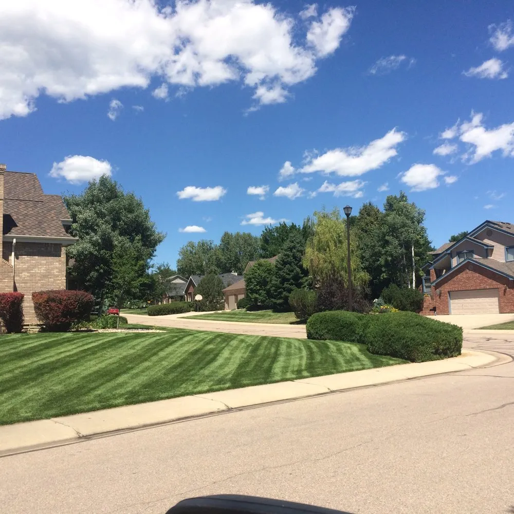 Local yard cleanup service in FORT COLLINS, CO by Mountain West Vegetation Management