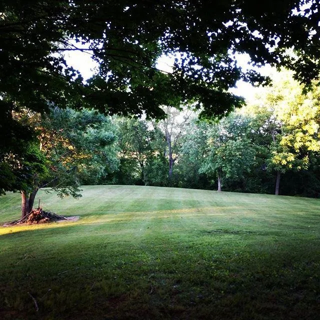 Custom lawn mowing service for year-round maintenance across Pigeon Forge, TN - Mountain Willow Lawn Care
