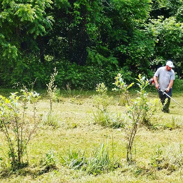 Local landscape design in Sevierville, TN by Mountain Willow Lawn Care