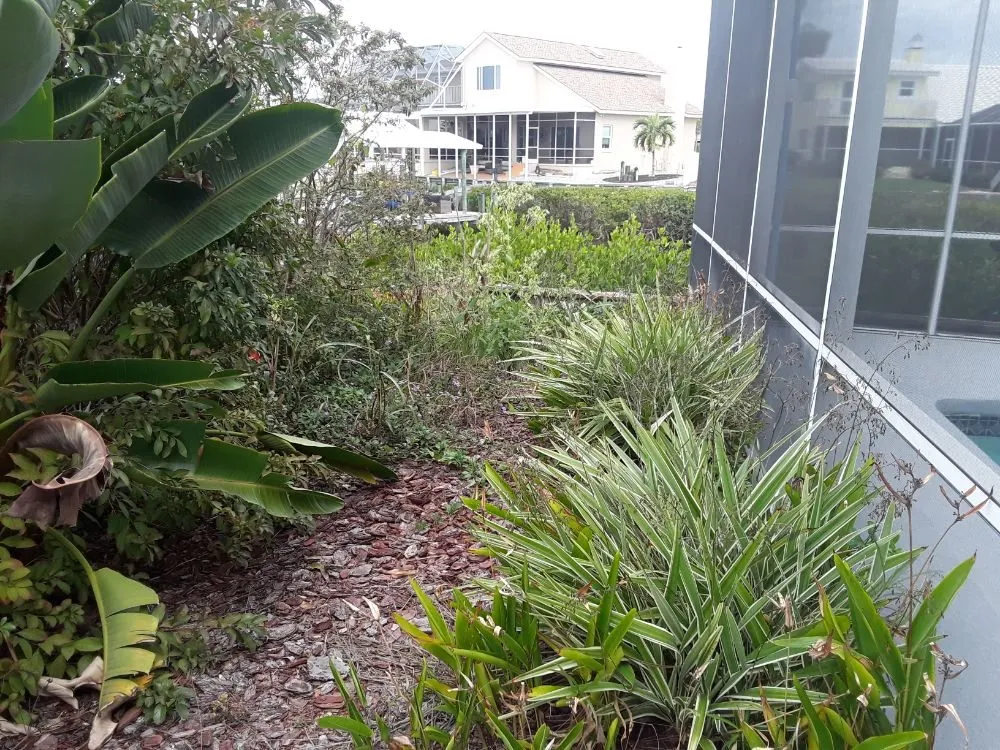 Top-rated yard maintenance for residential properties across Alford, FL - Mountaineer Lawn Care And Home Services