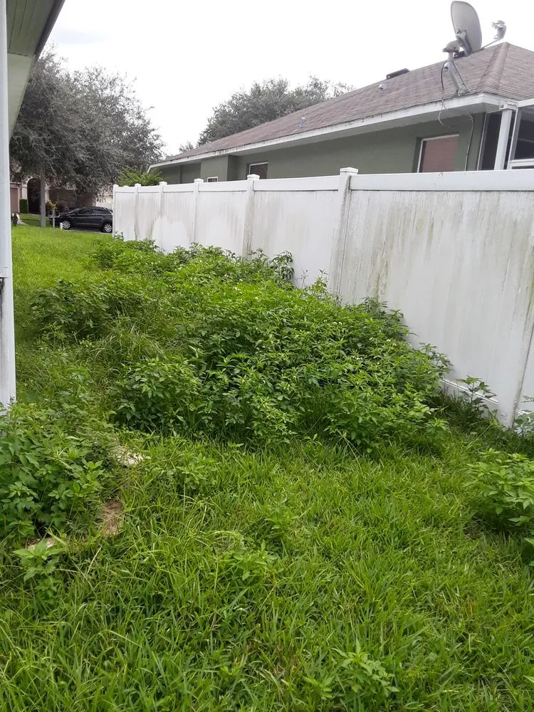 Top-rated lawn mowing service in Alford, FL - Mountaineer Lawn Care And Home Services
