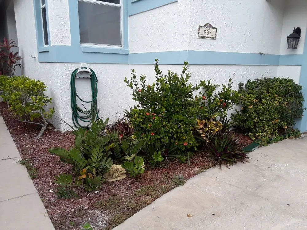 Top-rated residential landscaping near you across Alford, FL - Mountaineer Lawn Care And Home Services