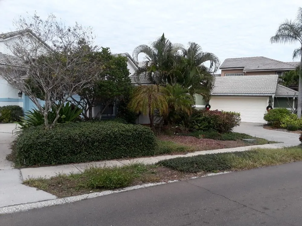 Professional residential landscaping in Alford, FL by Mountaineer Lawn Care And Home Services