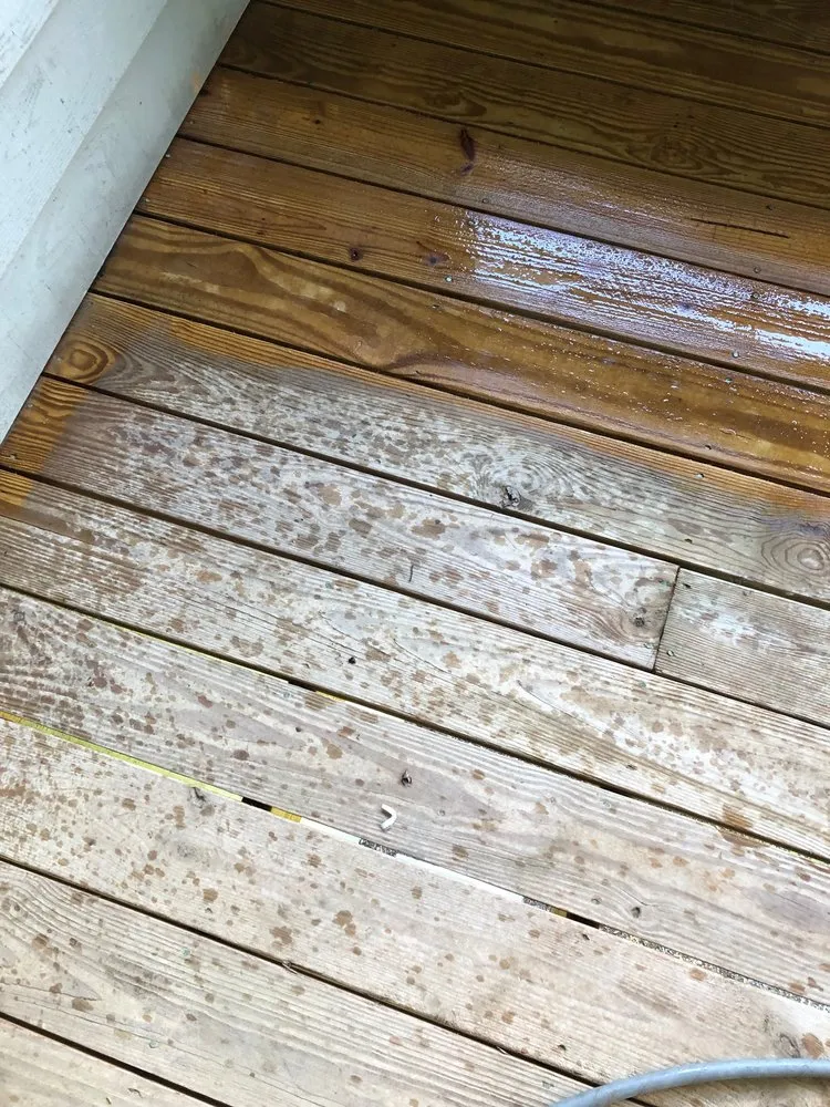 Local landscaping services experts serving Vilas, NC - Mountaineer Maintenance