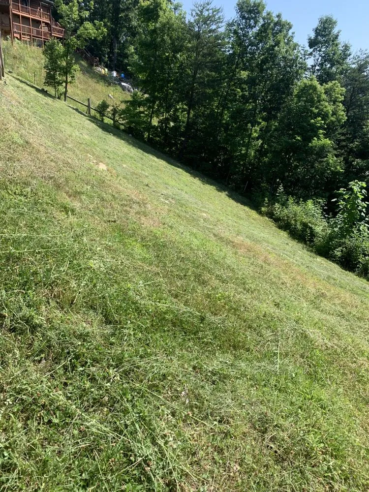 Top-rated yard cleanup service for outdoor upgrades across Sevierville, TN - Mountaineer Mowing & mulching