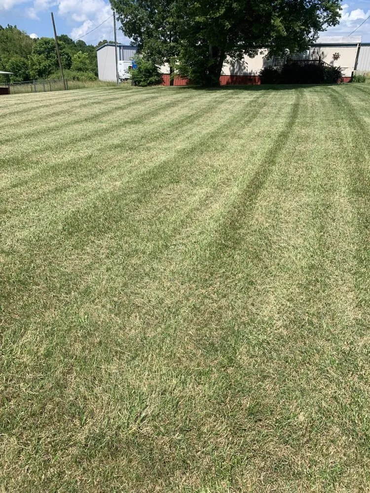 Custom lawn mowing service in Sevierville, TN - Mountaineer Mowing & mulching