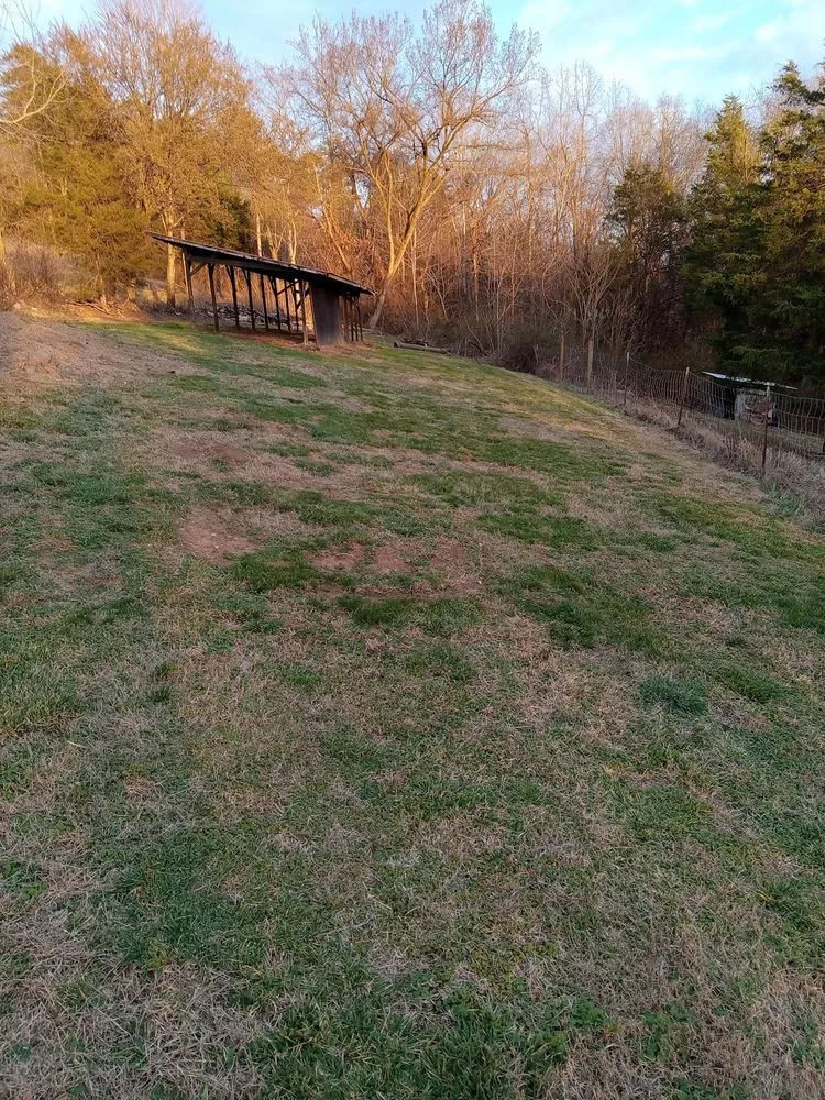 Custom lawn mowing service in Sevierville, TN by Mountaineer Mowing & mulching