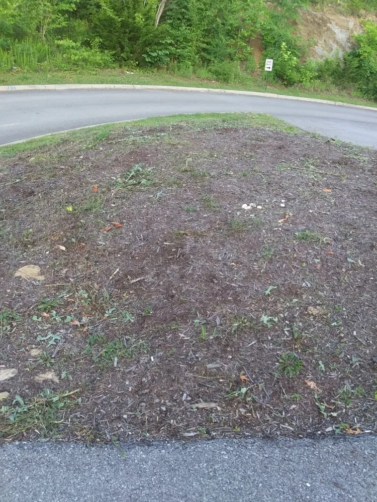 Local yard maintenance experts serving Sevierville, TN - Mountaineer Mowing & mulching