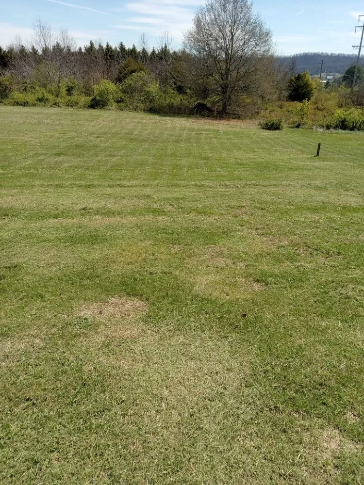 Custom landscape design experts serving Sevierville, TN - Mountaineer Mowing & mulching