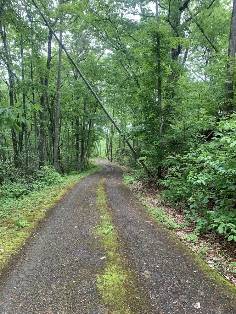 Affordable lawn mowing service for beautiful yards in Sevierville, TN by Mountaineer Mowing & mulching