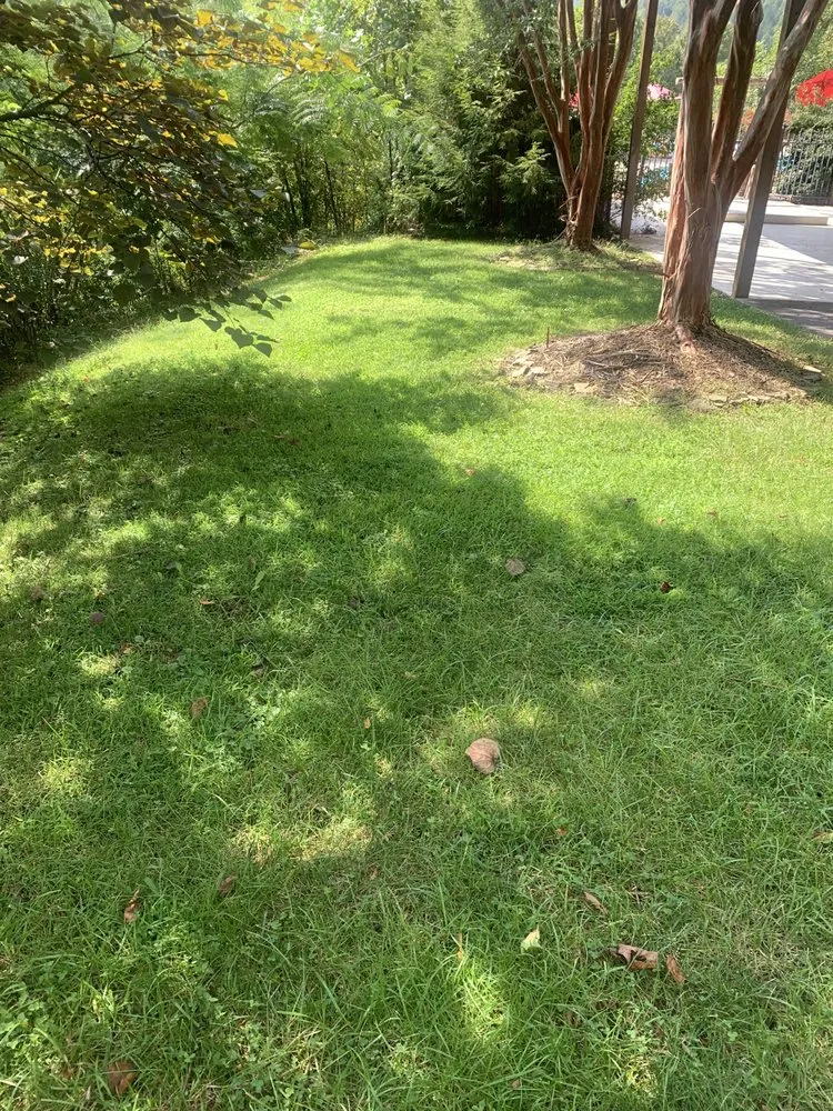 Local outdoor landscaping in Sevierville, TN by Mountaineer Mowing & mulching