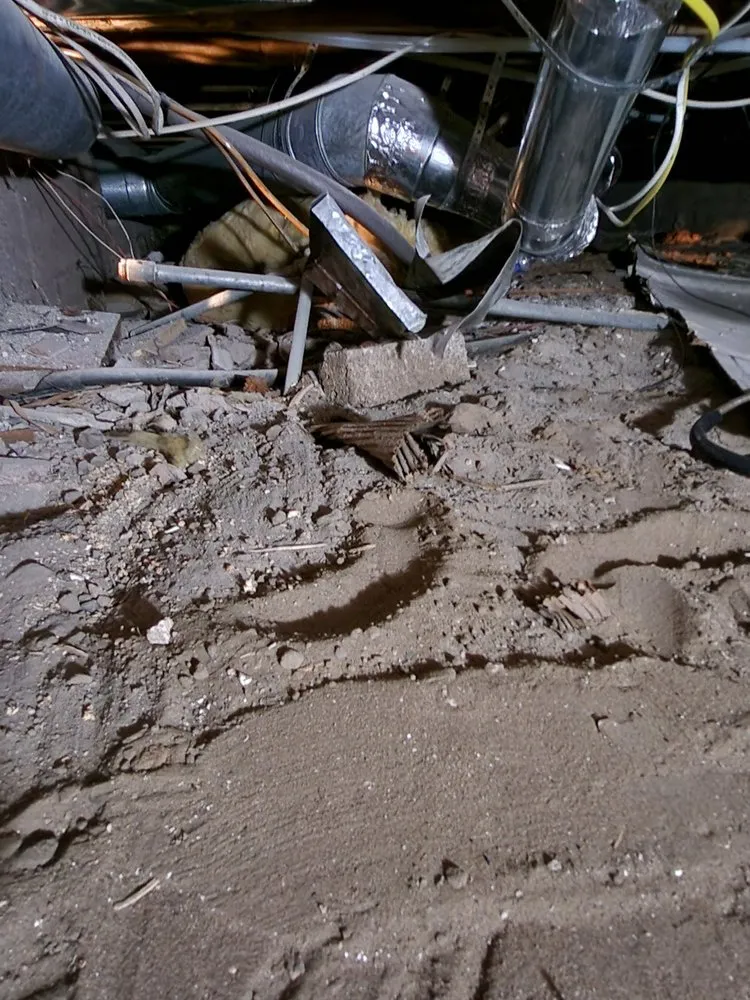 Reliable landscape design with custom design across Colorado Springs, CO - MountainScapes Custom Environments