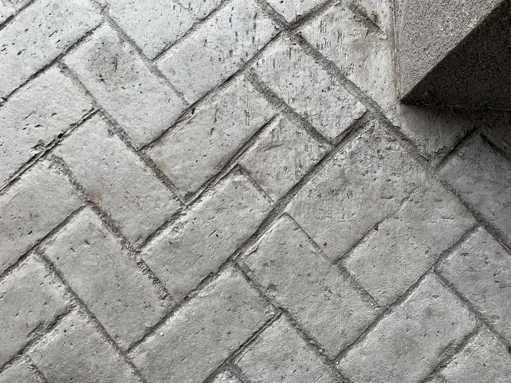 Local yard cleanup service experts serving Colorado Springs, CO - MountainScapes Custom Environments