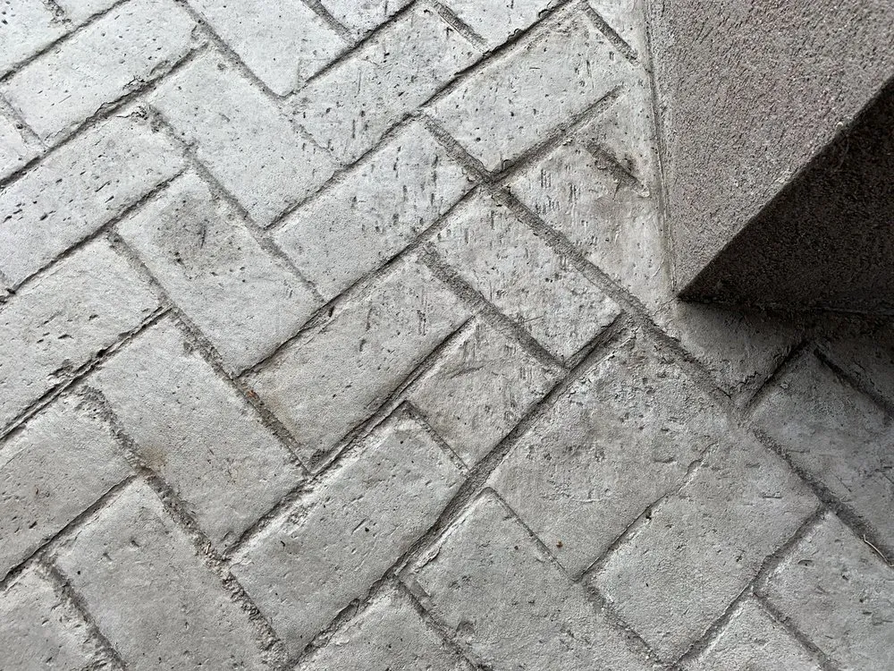 Professional yard cleanup service experts serving Colorado Springs, CO - MountainScapes Custom Environments