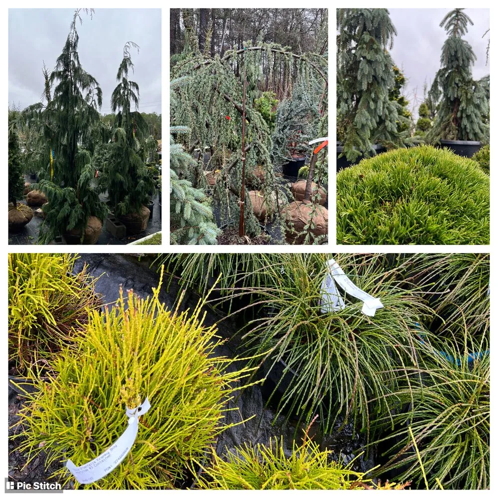 Local lawn mowing service in Elizabethton, TN - MountainScapes of Appalachia