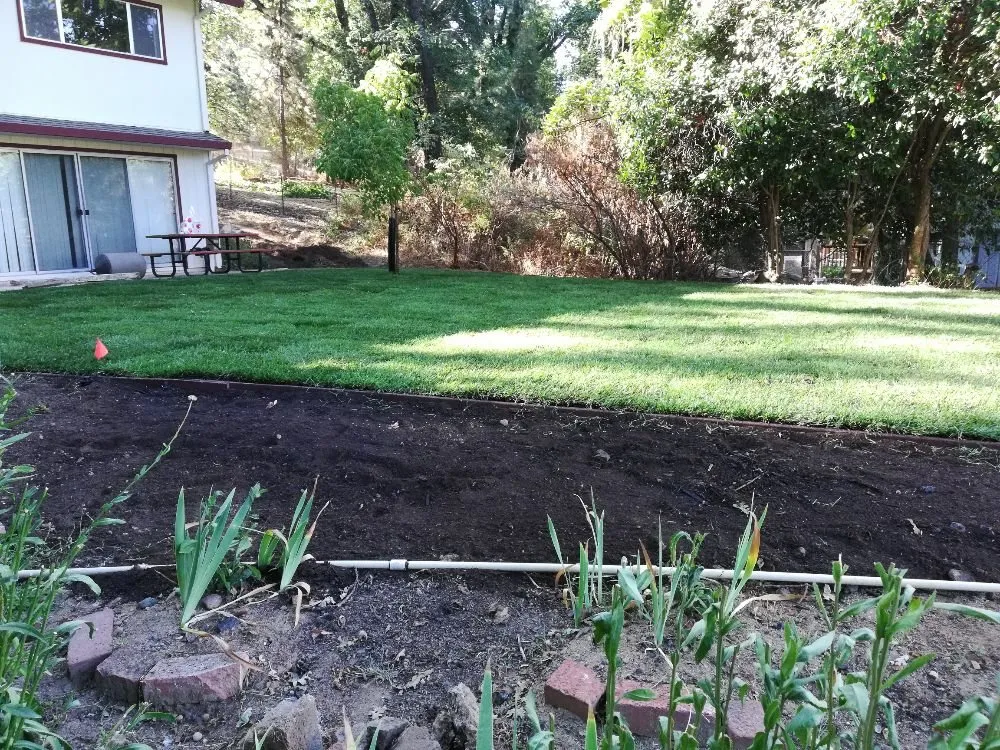 Local landscape design experts serving Twain Harte, CA - MountainSide Landscaping